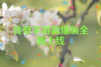 传奇手游高爆版全新上线