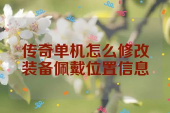 传奇单机怎么修改装备佩戴位置信息