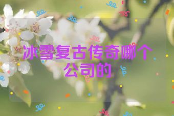 冰雪复古传奇哪个公司的