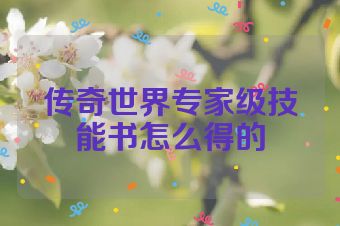 传奇世界专家级技能书怎么得的