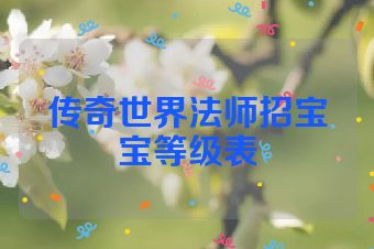 传奇世界法师招宝宝等级表