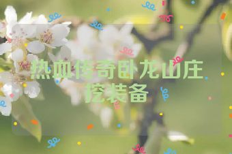 热血传奇卧龙山庄挖装备