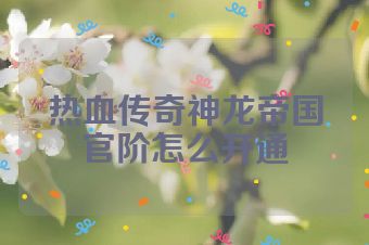 热血传奇神龙帝国官阶怎么开通