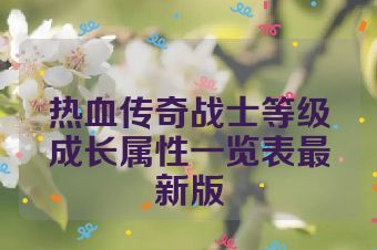 热血传奇战士等级成长属性一览表最新版