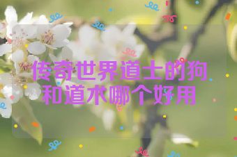 传奇世界道士的狗和道术哪个好用