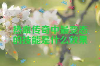 热血传奇中最变态的技能是什么效果