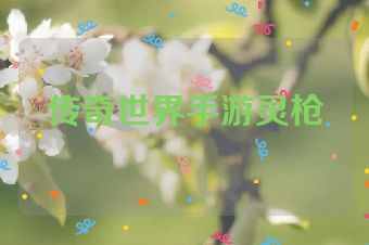 传奇世界手游灵枪