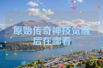 原始传奇神技觉醒后在哪看