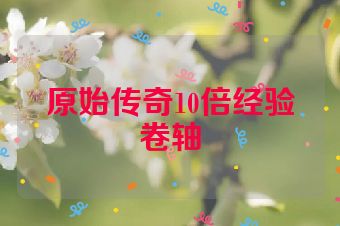 原始传奇10倍经验卷轴