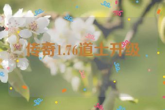 传奇1.76道士升级