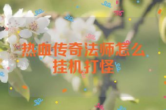 热血传奇法师怎么挂机打怪