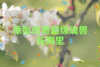 原始传奇超级魂兽在哪里
