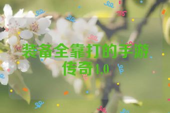 装备全靠打的手游传奇4.0
