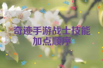 奇迹手游战士技能加点顺序
