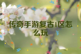 传奇手游复古1区怎么玩