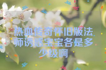热血传奇怀旧版法师诱惑宝宝各是多少级啊