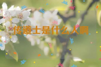 传道士是什么人啊