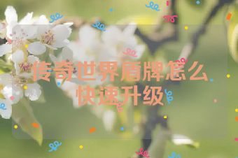 传奇世界盾牌怎么快速升级