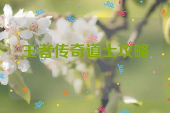 王者传奇道士攻略