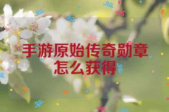 手游原始传奇勋章怎么获得