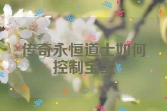 传奇永恒道士如何控制宝宝