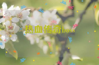 热血传奇boss
