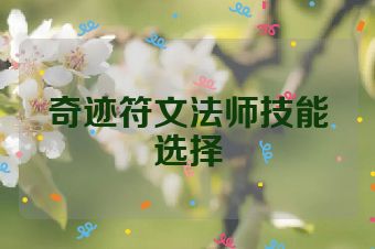 奇迹符文法师技能选择