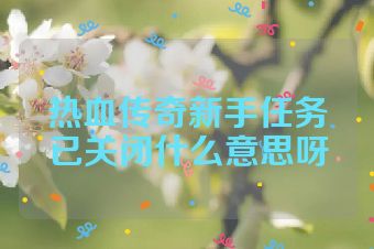 热血传奇新手任务已关闭什么意思呀