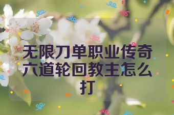 无限刀单职业传奇六道轮回教主怎么打