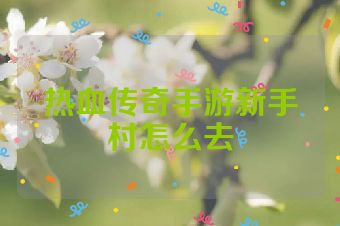 热血传奇手游新手村怎么去