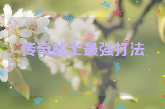 传奇战士最强打法