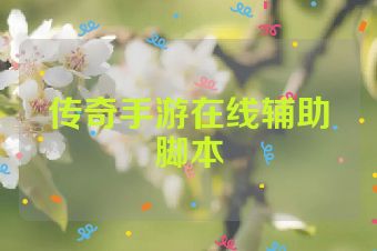 传奇手游在线辅助脚本