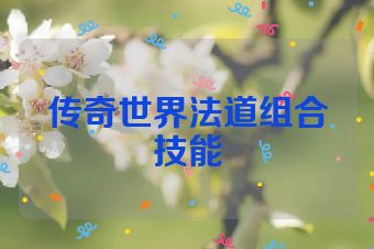 传奇世界法道组合技能