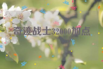 奇迹战士32000加点