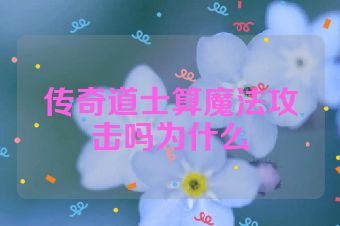 传奇道士算魔法攻击吗为什么