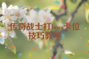 传奇战士打boss卡位技巧教学