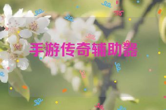 手游传奇辅助器