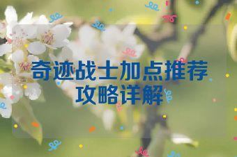 奇迹战士加点推荐攻略详解