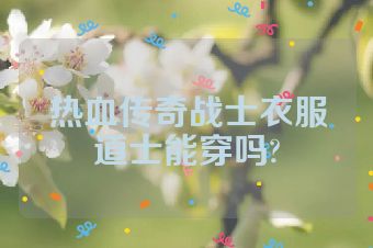 热血传奇战士衣服道士能穿吗?