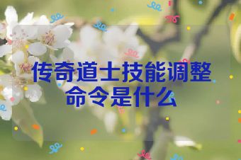 传奇道士技能调整命令是什么