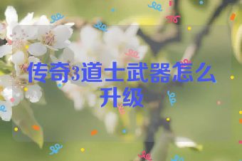 传奇3道士武器怎么升级