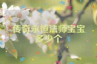 传奇永恒法师宝宝多少个