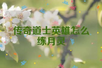 传奇道士英雄怎么练月灵