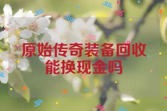 原始传奇装备回收能换现金吗