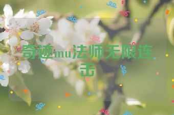奇迹mu法师无限连击