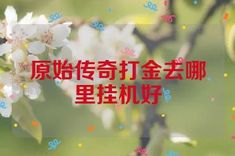 原始传奇打金去哪里挂机好