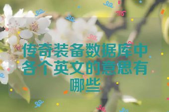 传奇装备数据库中各个英文的意思有哪些