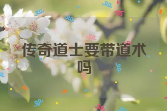 传奇道士要带道术吗