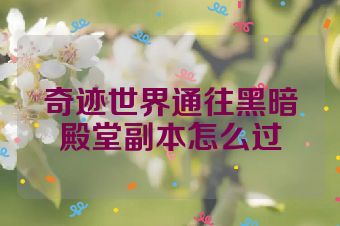 奇迹世界通往黑暗殿堂副本怎么过