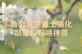 传奇世界道士强化骷髅和召唤神兽